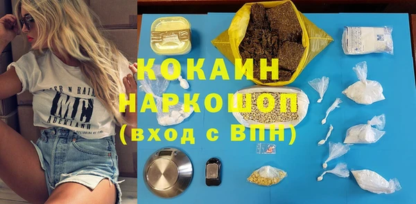 дмт Алексин