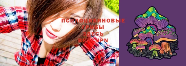 spice Покров